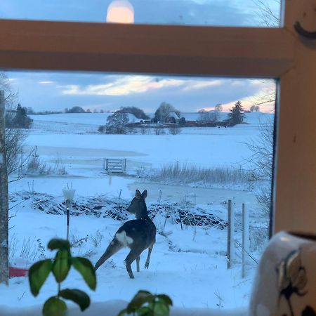 Apartament Vinkelgaard Ringsted Zewnętrze zdjęcie