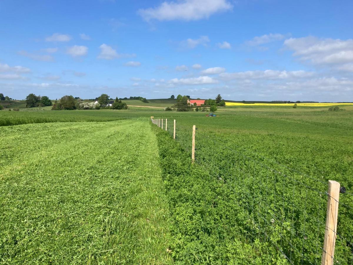 Apartament Vinkelgaard Ringsted Zewnętrze zdjęcie